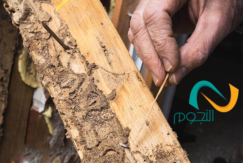 شركه عزل اسطح بالطائف