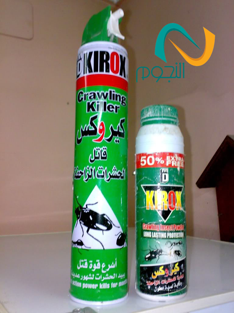 شركه مكافحه النمل الأبيض بجده