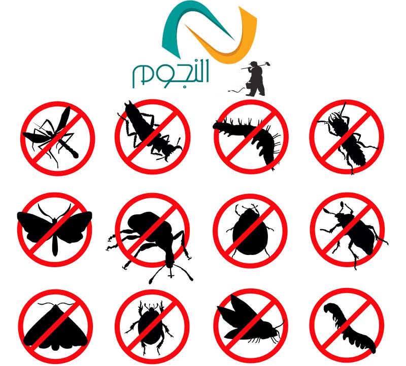 شركة مكافحة حشرات بمكة