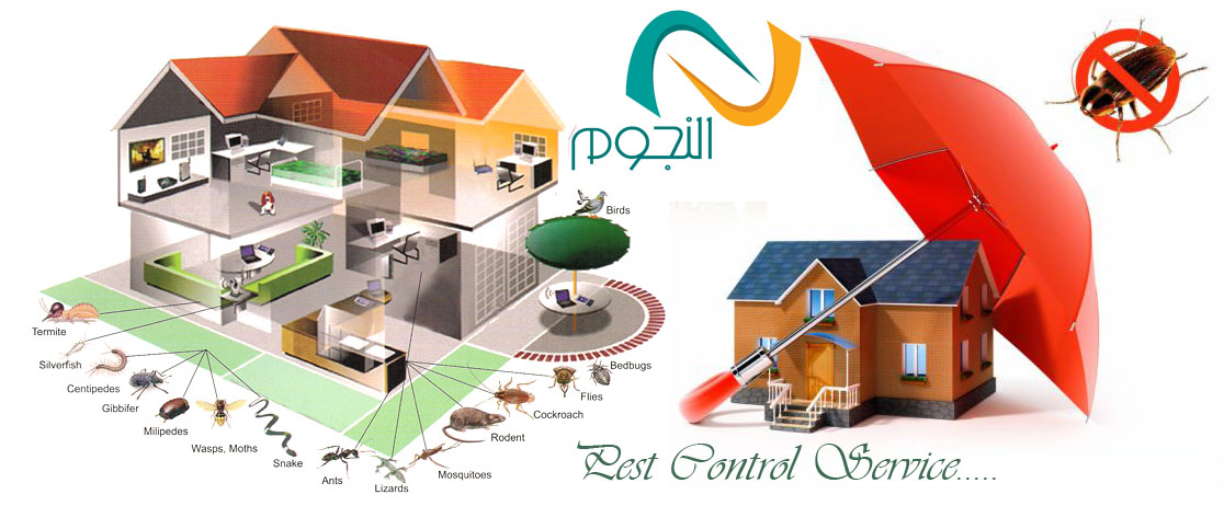 شركه رش مبيدات بالطائف