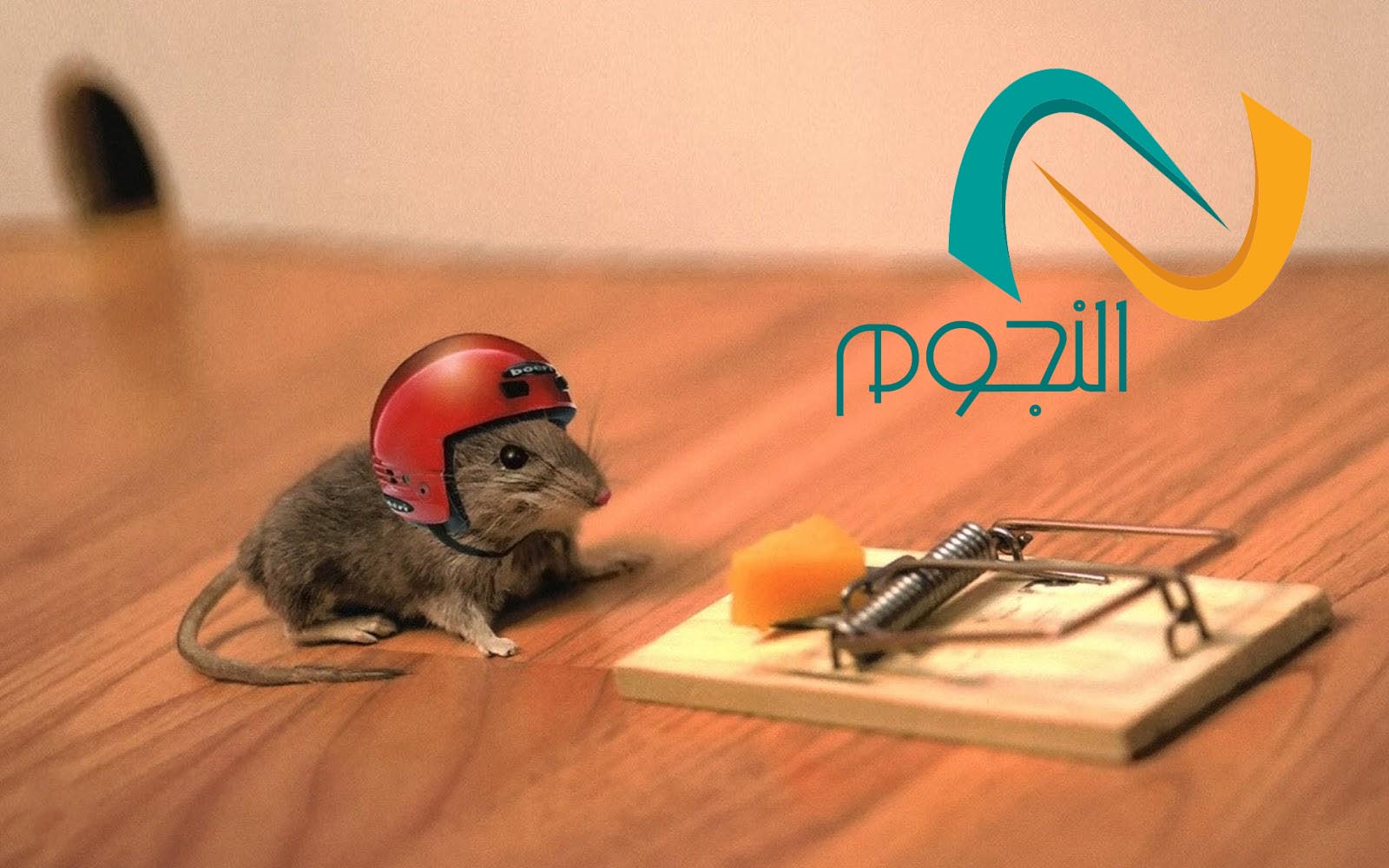 شركة عزل خزانات بالطائف