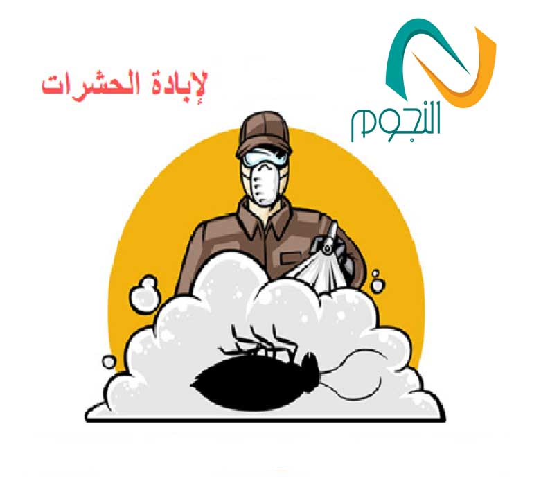 شركة مكافحة حشرات بمكة