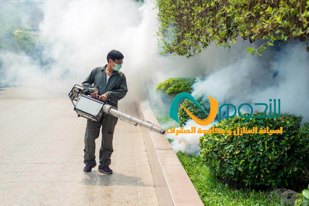 شركة رش مبيدات بالطائف