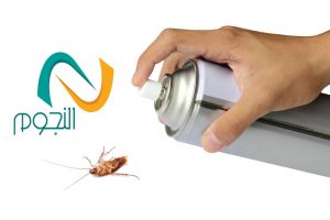 شركة مكافحة الصراصير بالطائف