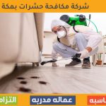 شركة مكافحة حشرات بمكة