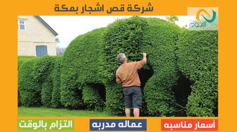 شركة قص اشجار بمكة