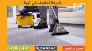 شركة تنظيف في تربة