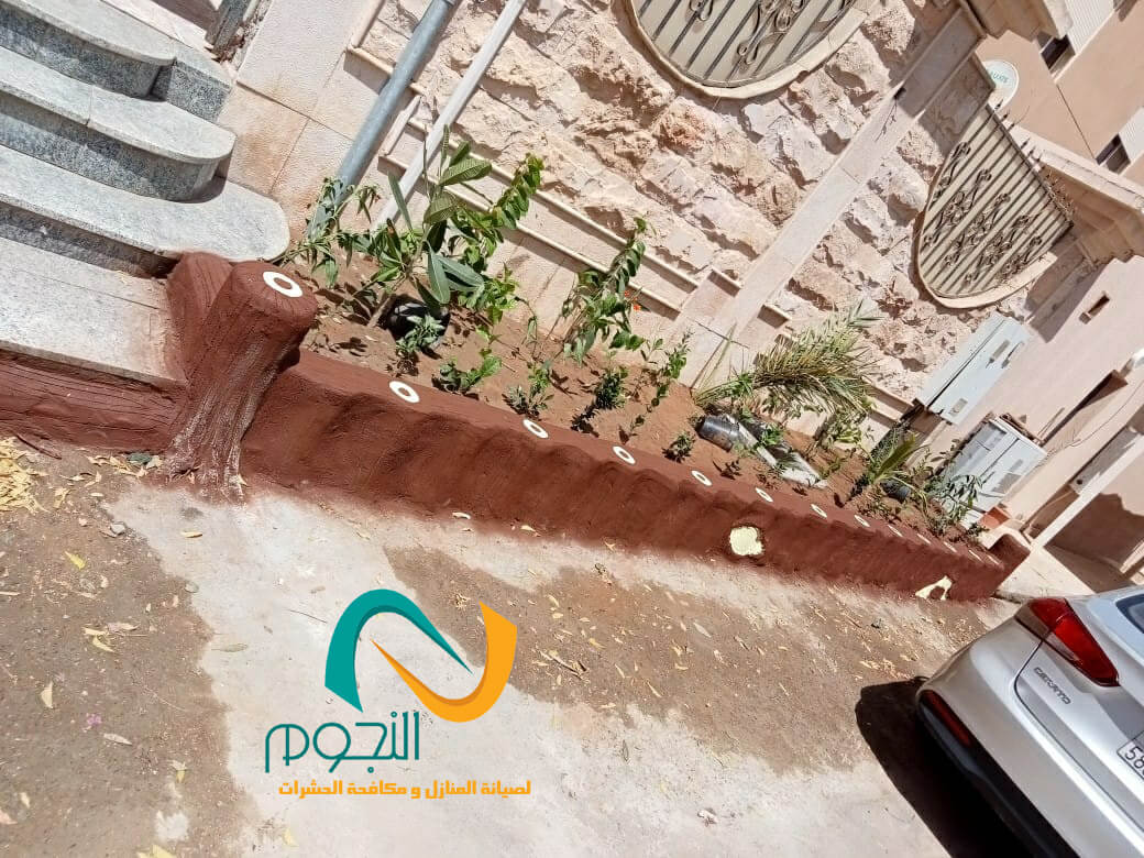 تنسيق حدائق (5)