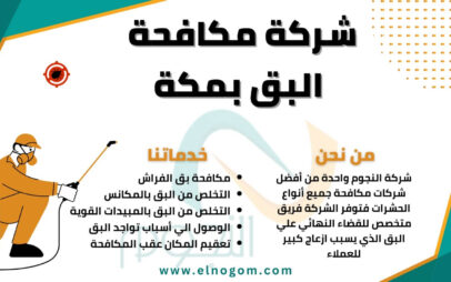 شركة مكافحة البق بمكة