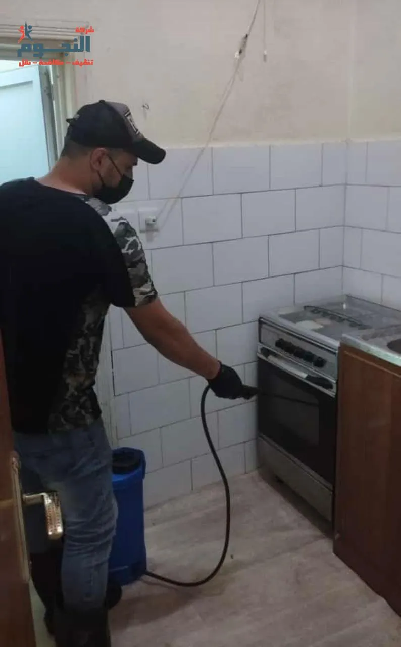 محاربة الحشرات المنزلية