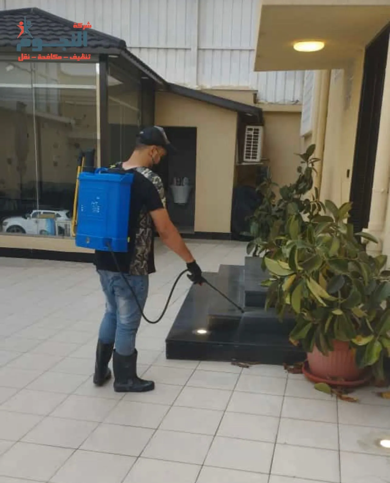 مكافحة الذباب بمكة