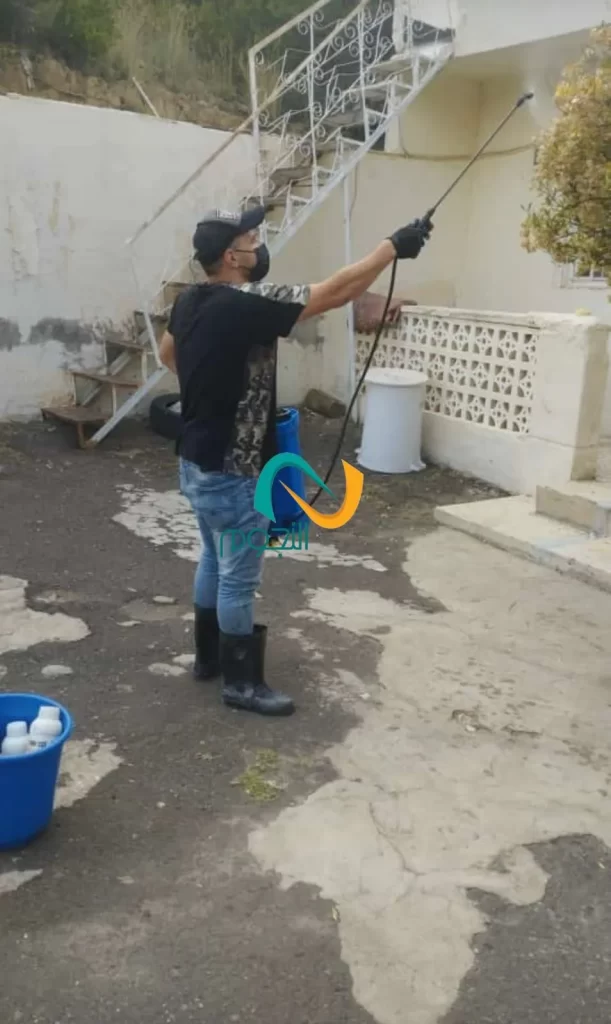 رش حشرات