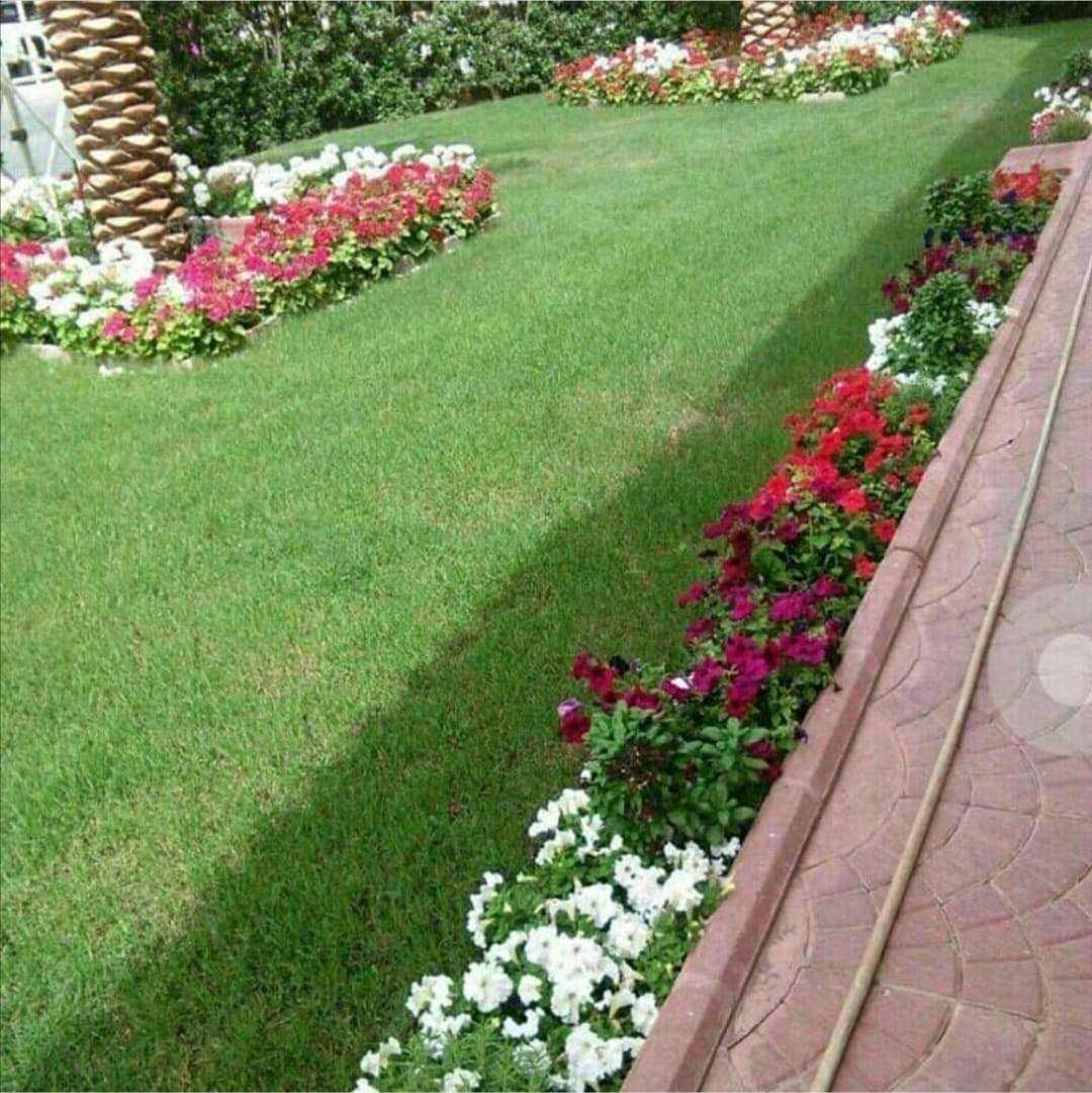 378056952_711170710445930_137608834348134997_n