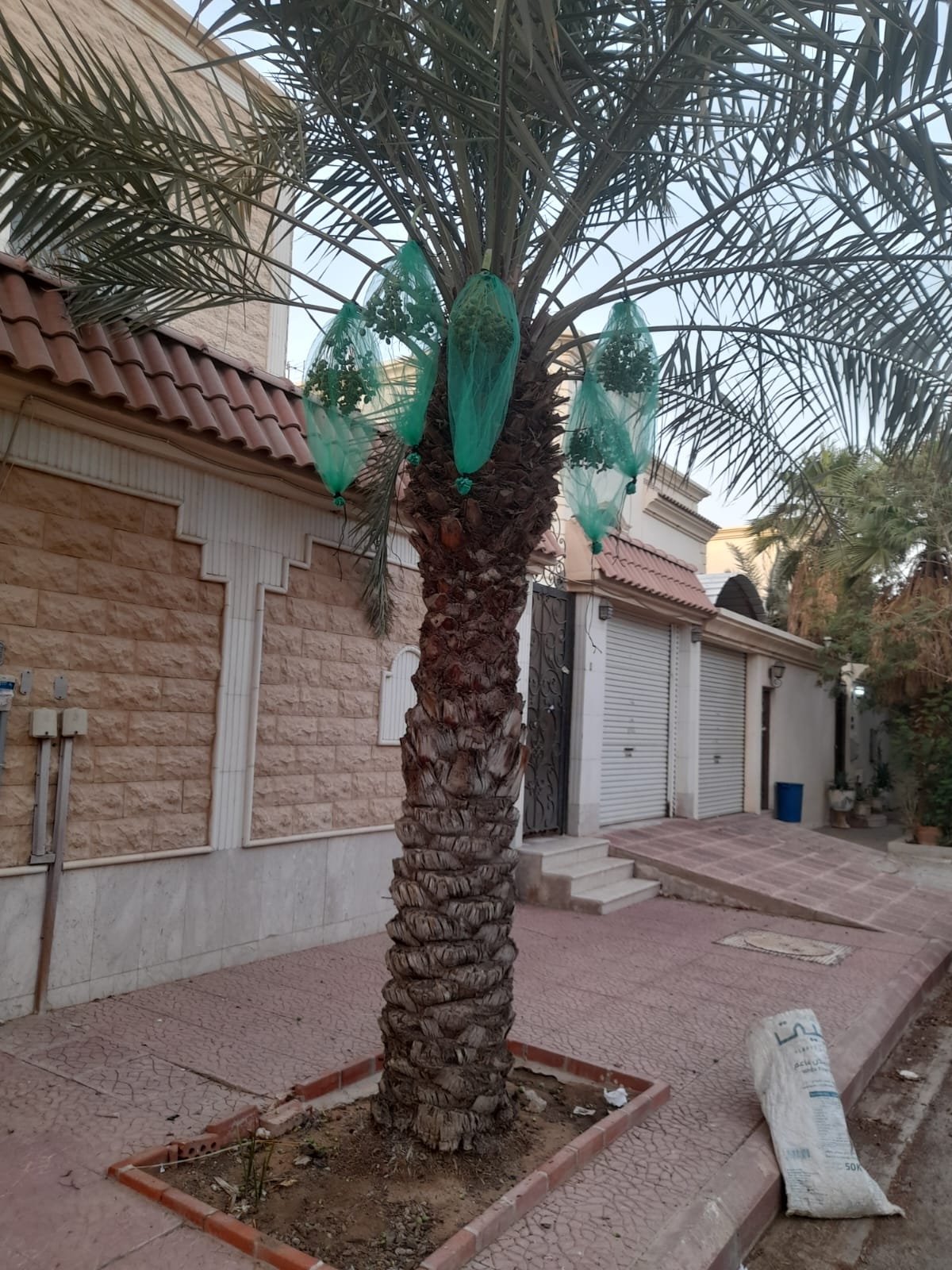 صورة واتساب بتاريخ 2023-11-08 في 13.31.57_ff0d39b8