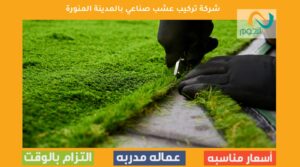 تركيب عشب صناعي بالمدينة المنورة
