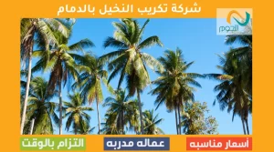 شركة تكريب النخيل بالدمام