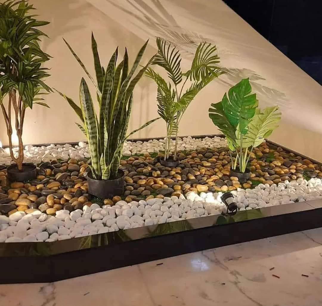 404339267_1412338062688213_5812801049414009050_n