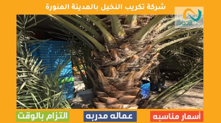 شركة تكريب النخيل بالمدينة المنورة
