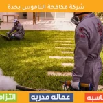 شركة مكافحة الناموس بجدة