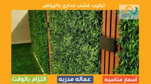 تركيب عشب جداري بالرياض