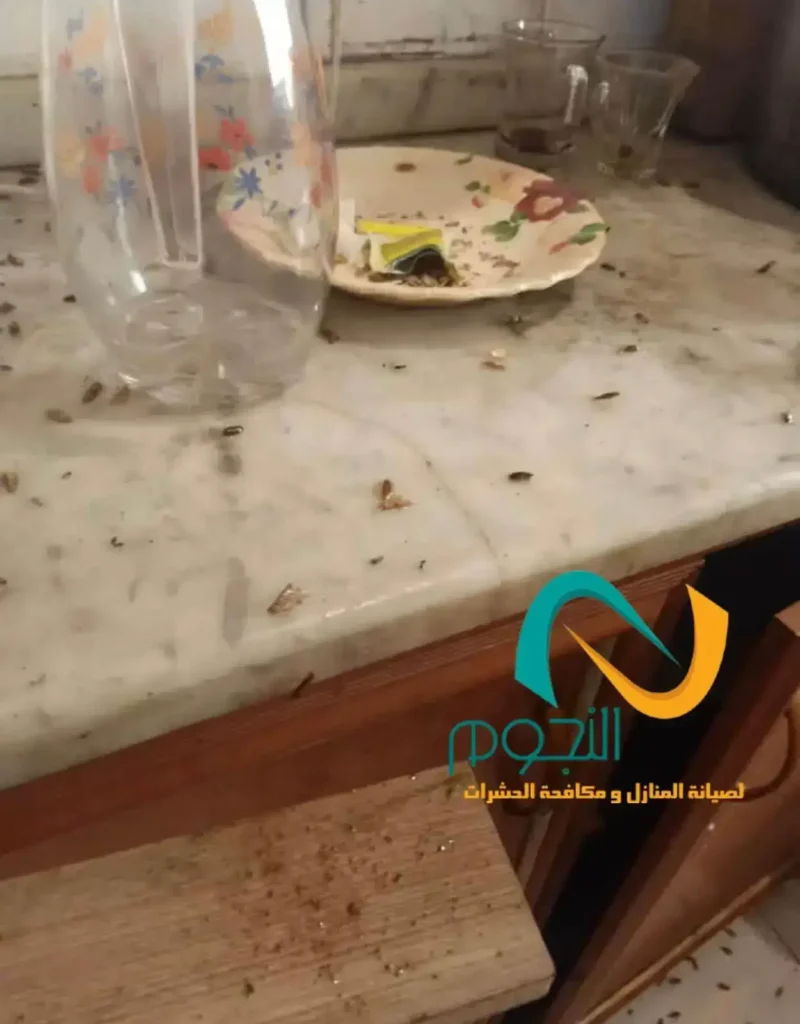 القضاء علي الصراصير