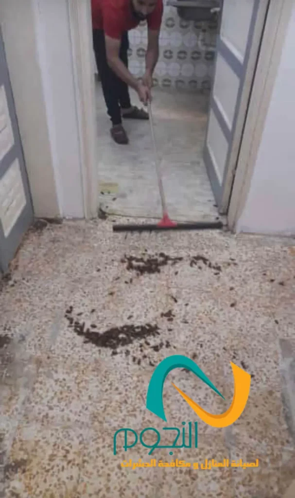 تنظيف البلاط