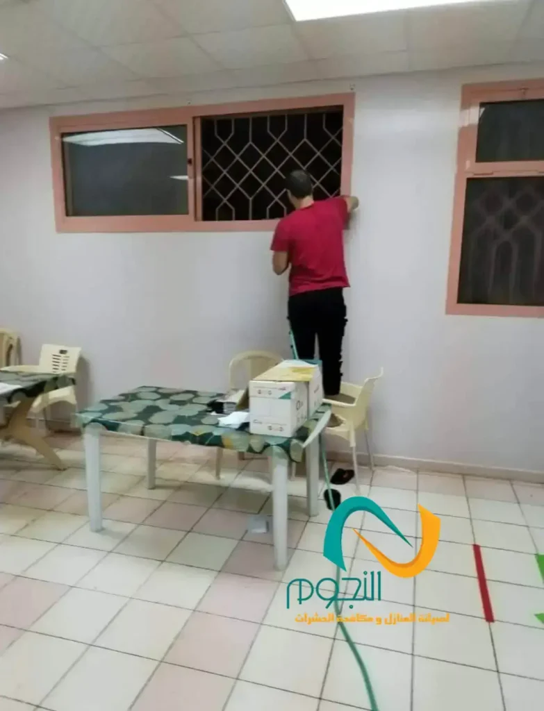 تنظيف المنازل