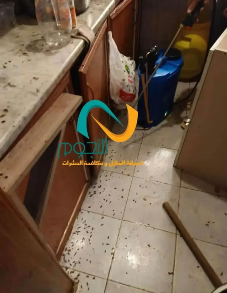 رش الصراصير