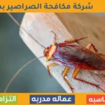 شركة مكافحة الصراصير بمكة