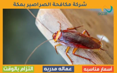 شركة مكافحة الصراصير بمكة