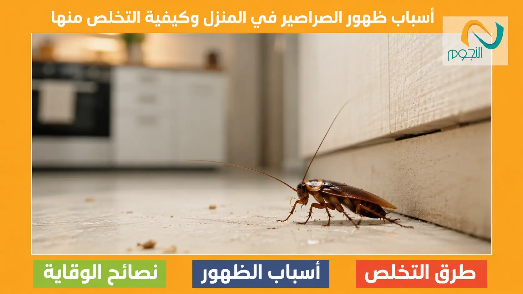 أسباب ظهور الصراصير في المنزل وكيفية التخلص منها